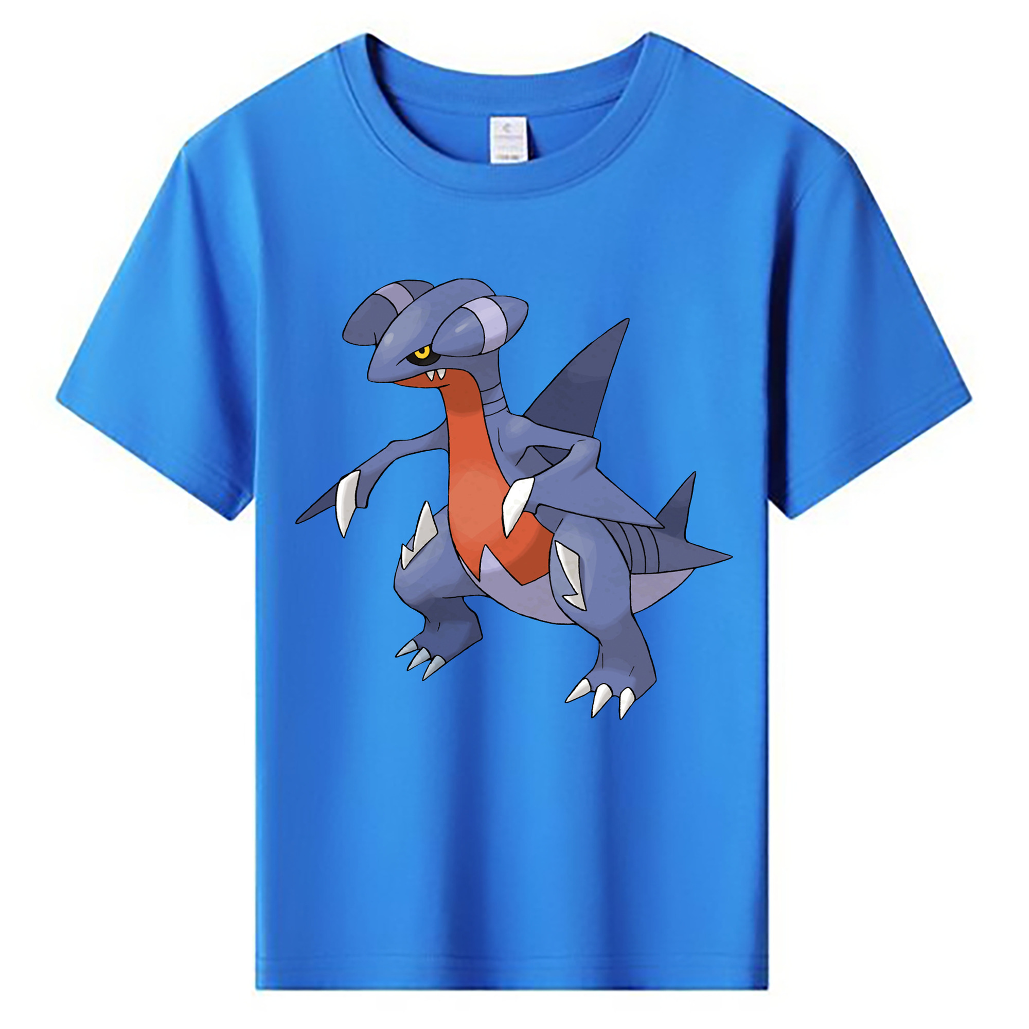 （画像用） ポケットモンスター Pokémon 綿100％キッズTシャツ（フロントプリント）